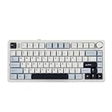 EPOMAKER x AULA F75 Gasket Mechanical Keyboard, 75% Wireless Gaming Keyboard with Five-Layer Padding&Knob, Bluetooth/2.4GHz/USB-C Hot Swappable Keyboard, NKRO, RGB (Light Blue, Ice Vein Switch)
